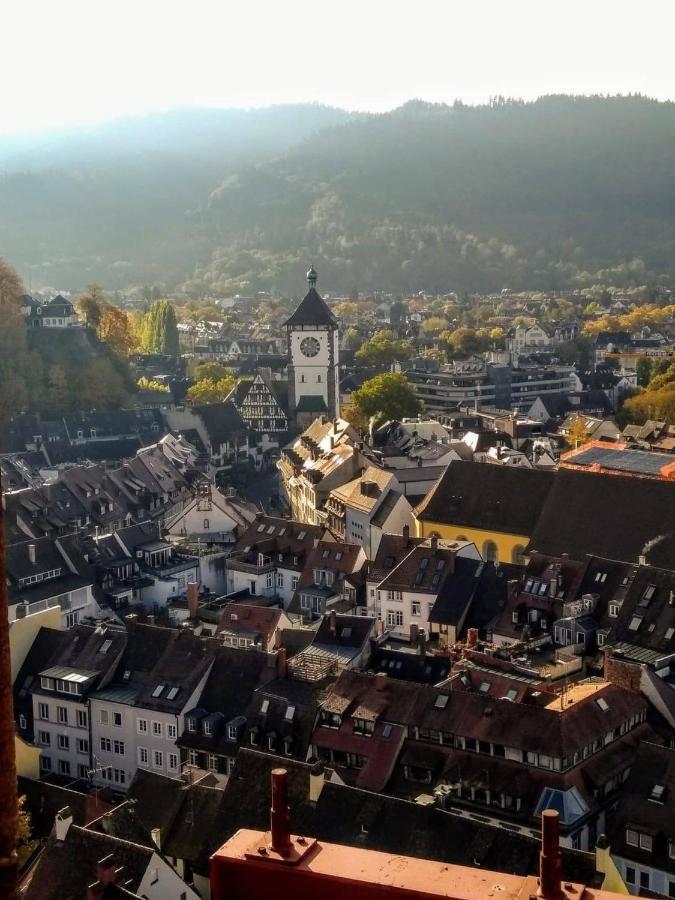 Studio Rome In Der Altstadt Lejlighed Freiburg im Breisgau Eksteriør billede