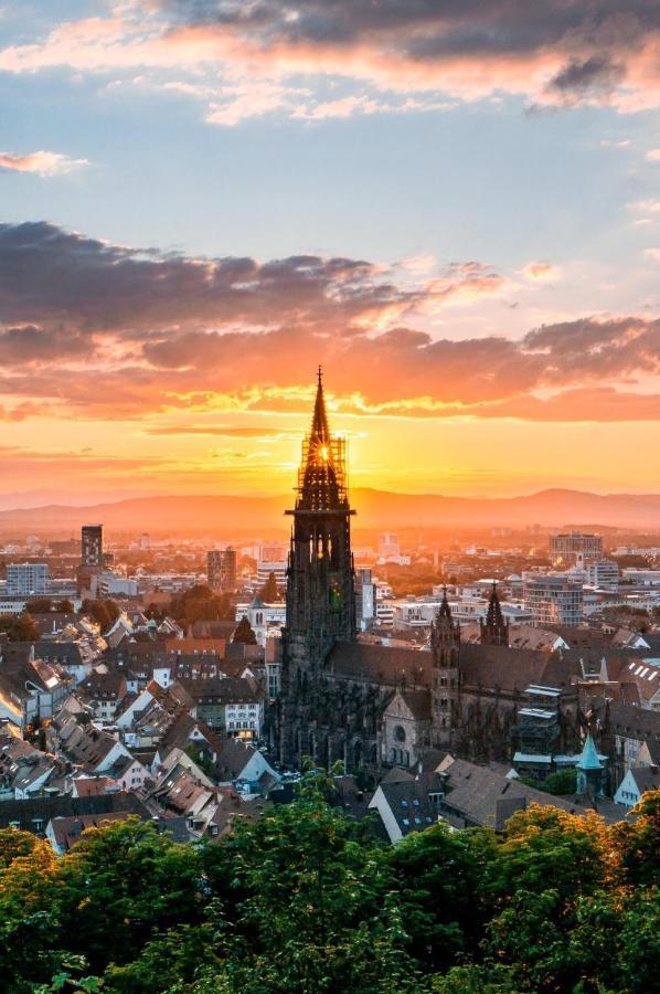 Studio Rome In Der Altstadt Lejlighed Freiburg im Breisgau Eksteriør billede