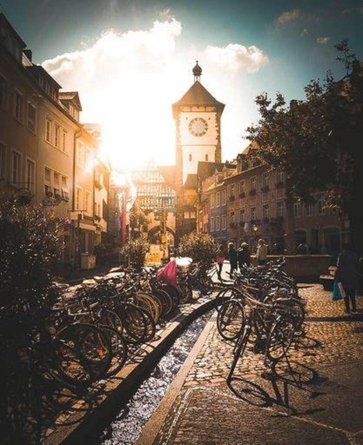 Studio Rome In Der Altstadt Lejlighed Freiburg im Breisgau Eksteriør billede